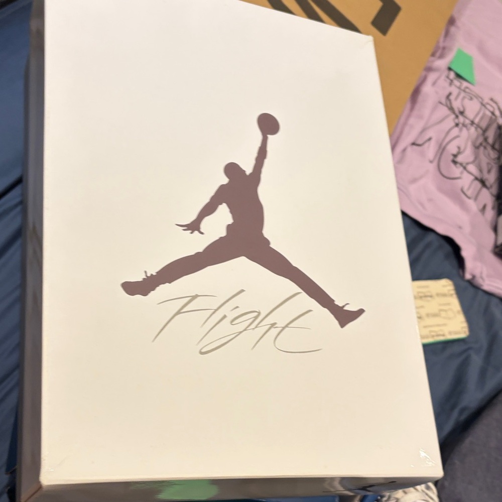 Air Jordan Flight shoes
